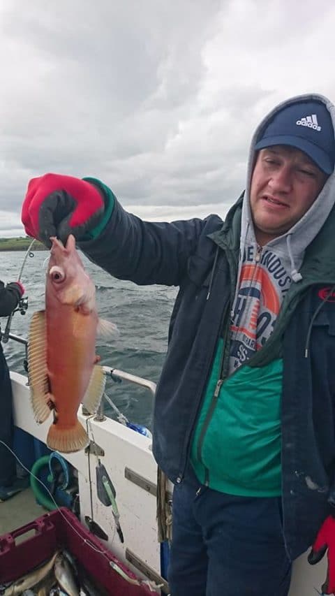 Sligo Boat Charters - July 3rd 2016 pic 3