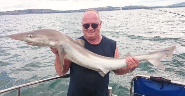 Jimmy set out to get his tope and big baits nailed it for him