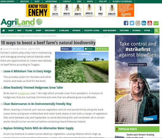 10 ways to boost a beef farm’s natural biodiversity