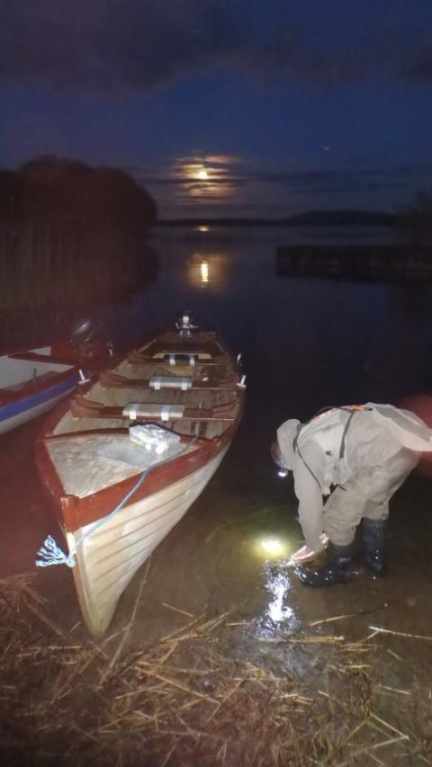 ‘At the end of the night’  - most of the angling success are a twilight/darkness affair