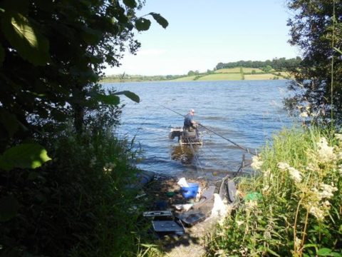 Fishing the July Festival on Lough Muckno