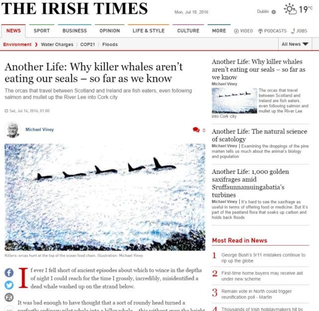 Another Life: Why killer whales aren’t eating our seals – so far as we know