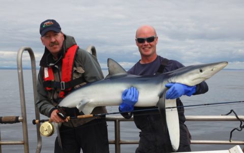 Rudy and Tom with the 60 - 65 lb blue shark on fly