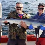 There were plenty of blue sharks about
