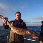 14lb 7oz bullhuss