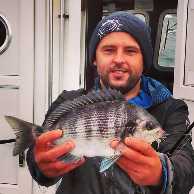 Black bream black bream