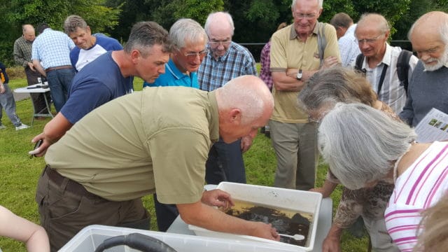 IFI Assistant Inspector for the North Western River Basin District hosting a river walk