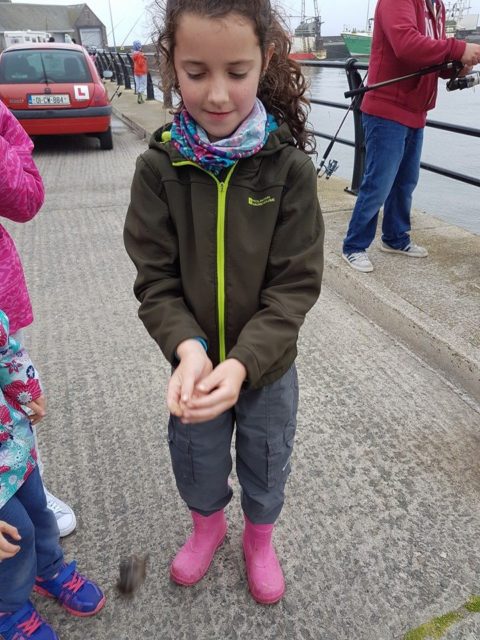 Bannow Bay Anglers - Junior competition 2
