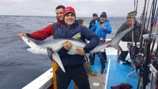 A nice blue shark caught aboard the Brazen Hussy II in Galway Bay last week