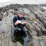 Dariusz Kaminski – Cork bass pic 1
