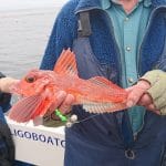 Ewing Charters – August pic 2