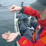 Gary Robinson – A mackerel peeler cocktail