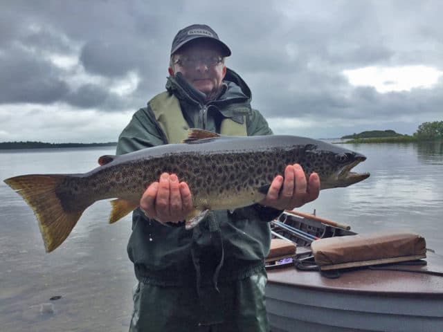 Gerry Molloy with a fine 8lbs Corrib trout caught while dapping grasshopper, July 2016