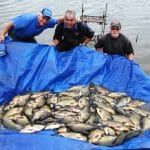 Melview – Les, Phil and Roger with one of their cracking catches of Bream