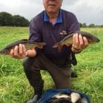 Melview – Some good Roach and Hybrids for Phil