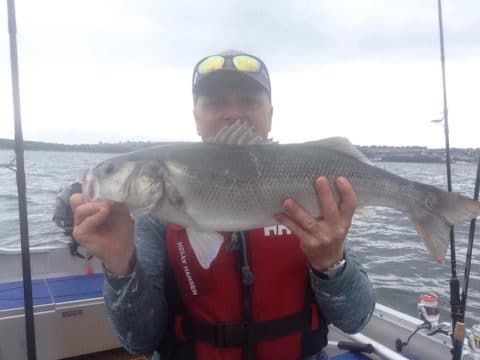 A super bass for Noel O'Sullivan