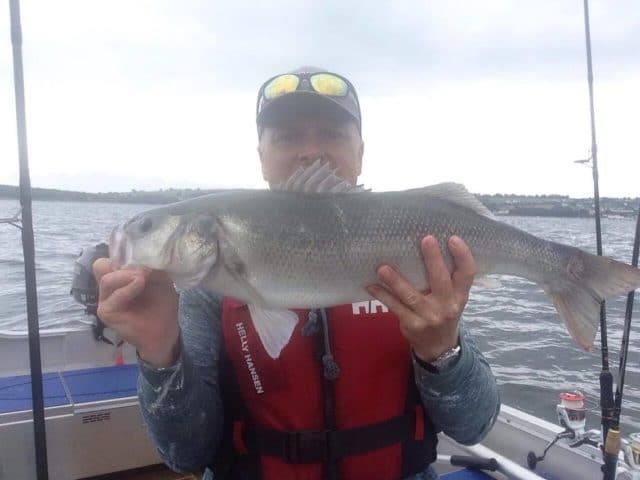 A super bass for Noel O'Sullivan