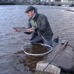Pino Messina, Italy, about to release one of his four Ridge Pool grilse