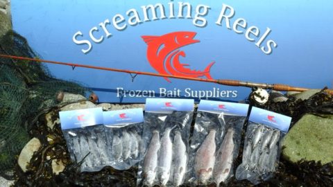 Screaming Reels banner - Donegal
