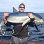Some big blue sharks over the 2m have been caught