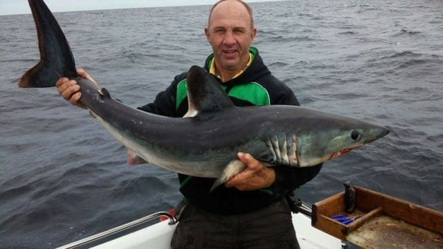 David Jones with a Porbeagle