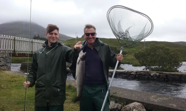 salmon