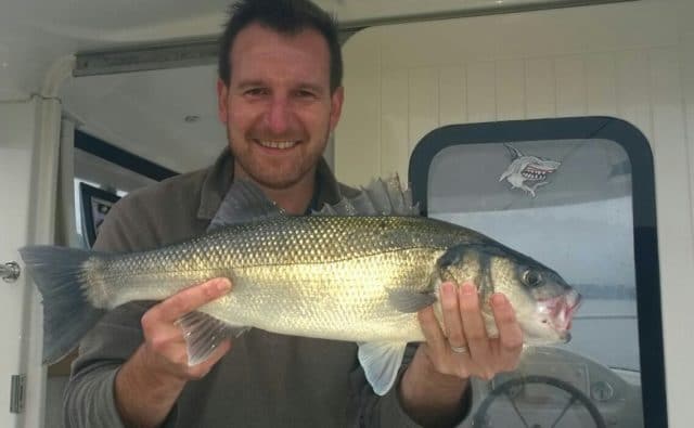 Bass