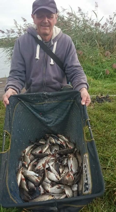 Over 2000lb of roach and a few bream