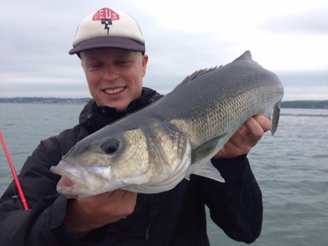 Bass Bass