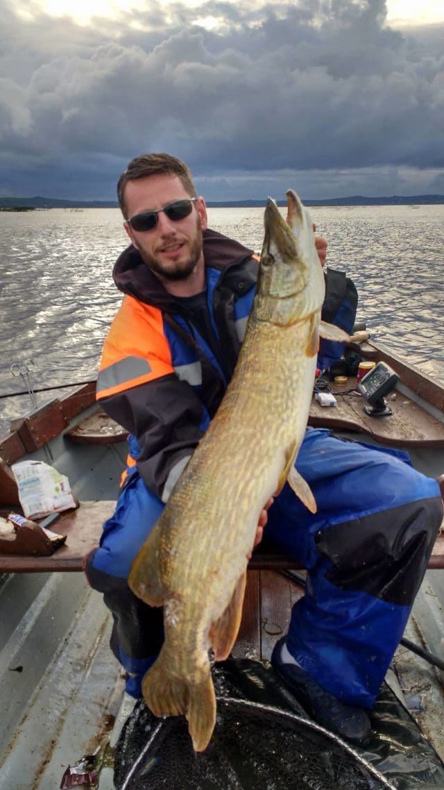 aidan-traynor-23lb-7oz-pike-on-lough-corrib Fine looking pike weighing in at 23lbs 7ozs for Aidan Traynor