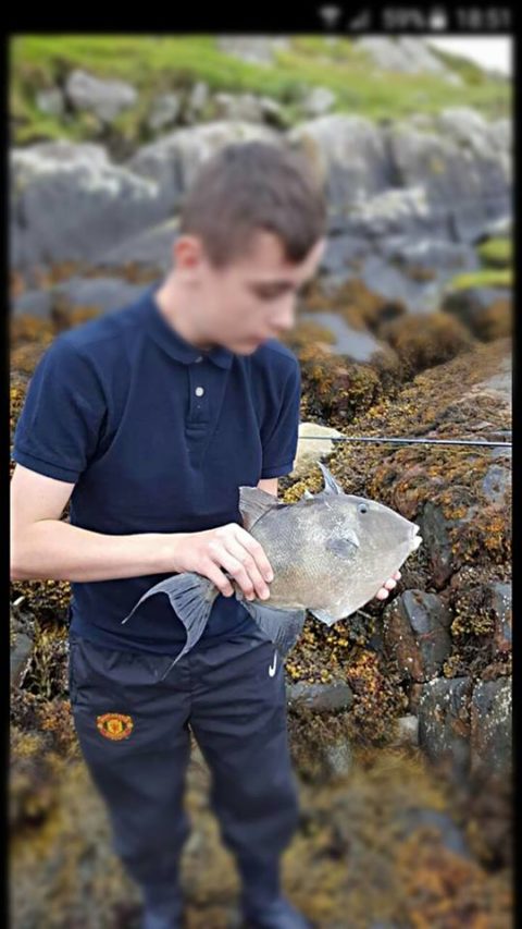 Bailey Webster with his trigger fish from Killary Harbour