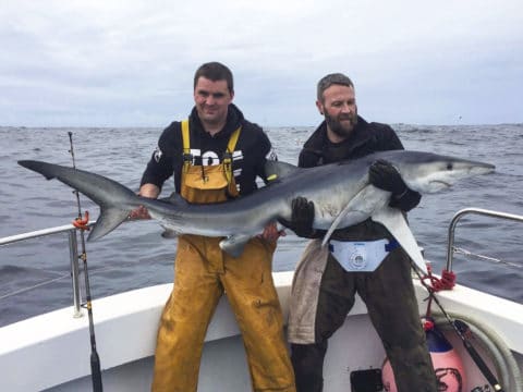 John Fleming (left), skipper of the Brazen Hussy II, with a client and their best shark from Sunday, a fine blue of 88lbs.