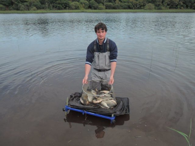 Son Nick with a nice catch of Hybrids and Roach Son Nick with a nice catch of Hybrids and Roach