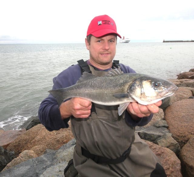 Darren Leatherbarrow with a bass at Rosslare Small Boats Festival
