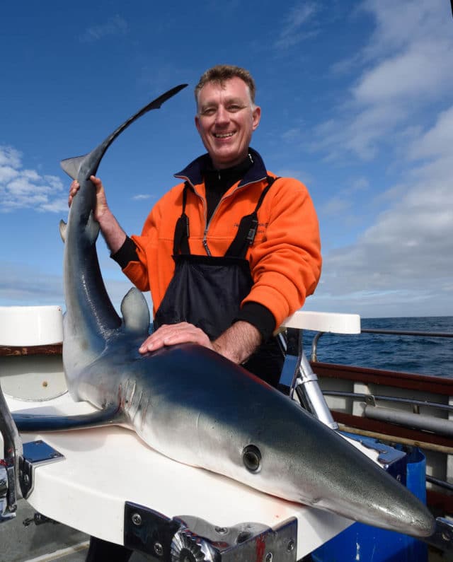Blueshark