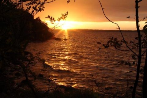 image001
