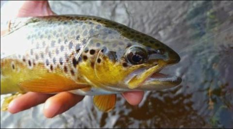 A September beauty from Sheelin