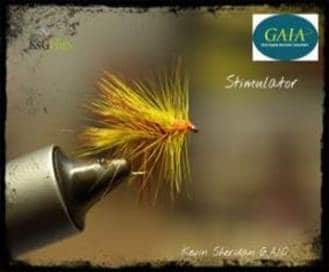 Stimulator
