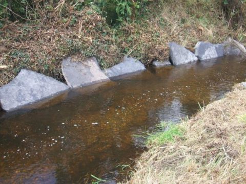 image030