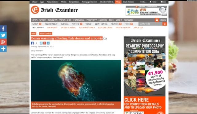 Ocean warming affecting fish stocks and crop yields