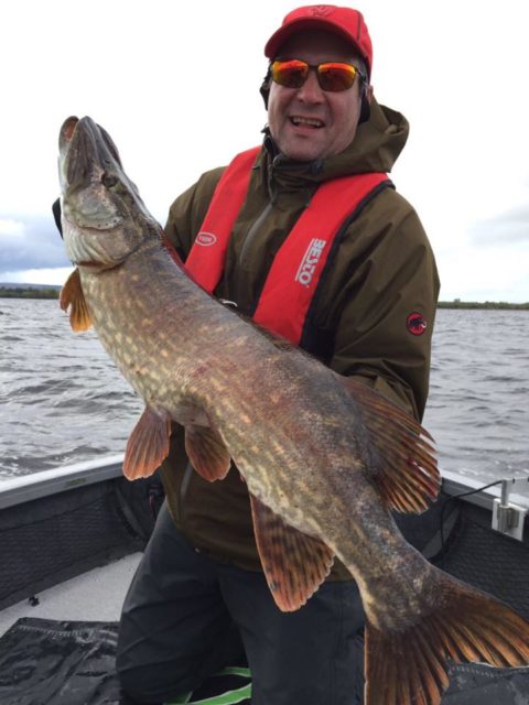 And another 100cm pike!