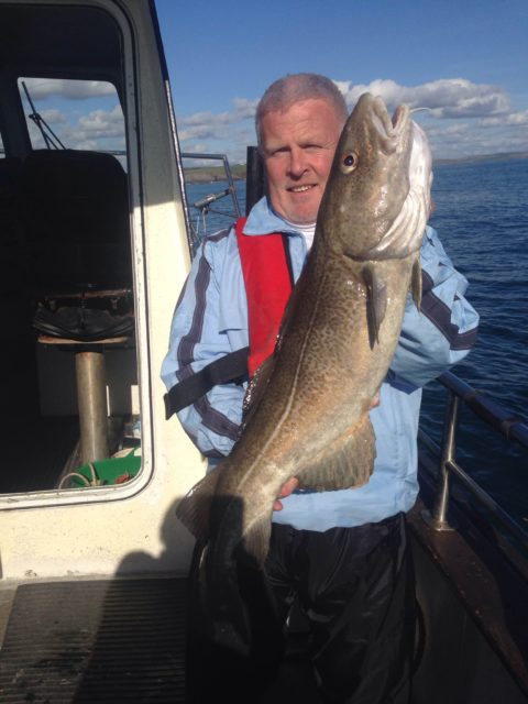 Cod