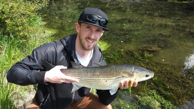 MAY - A super 26inch (66cm) mullet caught by Stephen O’Brien wins our ‘Catch of the Week’