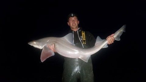JUNE - Dean Quigley could rewrite the record books with this incredible 24.85lb smoothhound which is our Catch of the Week