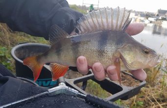 Lovely fishing on Barrow for NADA Winter League
