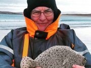 Sea trout, turbot and late season flounders from Donegal's shores Turbot