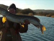 Greg gets pike to 22lb on first Allua trip of the year Lough Allua pike 2017
