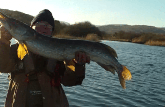 Greg gets pike to 22lb on first Allua trip of the year Lough Allua pike 2017