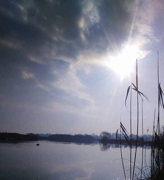 Bright conditions, but the fishing was good