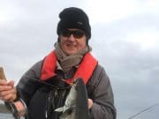 Coalfish to 5lb for saltwater fly anglers on Cork Harbour 5lb coalfish
